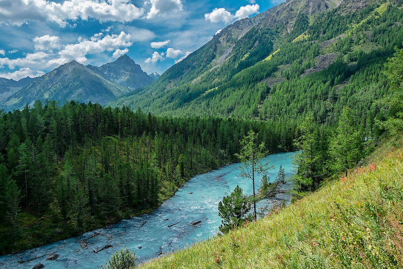 Природа Алтайского края